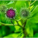 중국국제행정사사무소 이미지