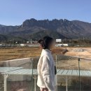 장유휴게소(식당) | <겨울 여행 추천> 1박2일 같았던, 강원도 2박3일 : 동쪽 해안선을 따라 경상도까지