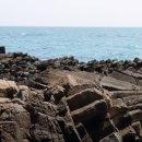 양남주상절리 이미지