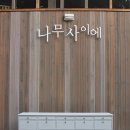 나무사이에 자연속으로 이미지