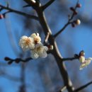 어구마을 이미지