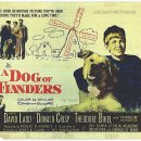 프란다스의개 이미지