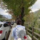 명서다리 앞 버스정류소 | 등산 왕초보의 지리산 천왕봉 등산코스 (백무동-장터목-천왕봉-백무동)