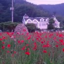 영등포여자고등학교 이미지