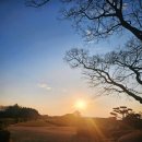 스프링데일CC | 한라산 조망하며 골프라운드 가능한 스프링데일 CC 골프라운드 후기