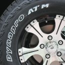 브라운스프링 이미지