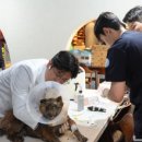 의성동물병원 이미지