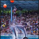 월드패션 이미지