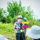 금강물길 이미지