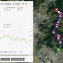 트레인런 훈련 가민 코스 이미지