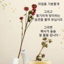 오늘의 선물 이미지