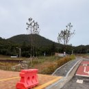 고창해양안전레져 | 군산 오션팔레트 해양체험장 |상어 가오리 투구게