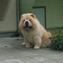 레드메인 이미지