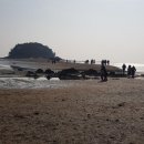 행복다방 - 서천군 장항로179번길 12 | 행복다방
