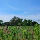 다담공인중개사사무소 이미지