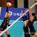 고송희