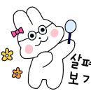 세븐성내 이미지