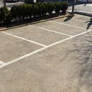 청기와흑염소 이미지