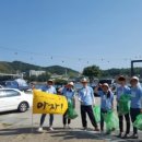 주신나염