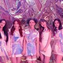 양이펀치 이미지