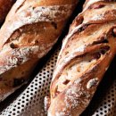 웰빙발효빵 이미지