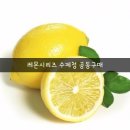 수제과일청 ~블루레몬청~레몬자몽청~등 공구 &복숭아 병조림 할인합니다 이미지