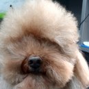 견생스타일 이미지