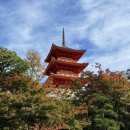 관광식당 | 교토 기요미즈데라 청수사 입장료 시간 식당 관광 후기