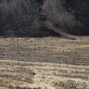 남산태양광발전소 이미지