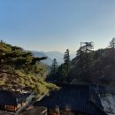 가조고견사 이미지