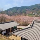 들꽃산방한옥계곡펜션