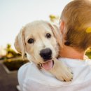고덕 동물의료센터 이미지