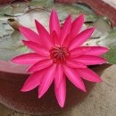 연님농장 이미지