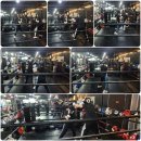 팀베어스복싱짐 이미지