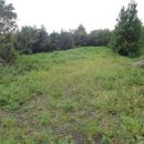 신흥보건진료소 이미지