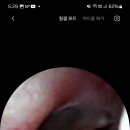 열린이비인후과의원 이미지
