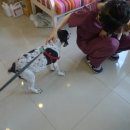 애나동물병원 이미지