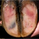 우사랑동물병원 이미지