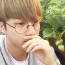 석진 농장 이미지