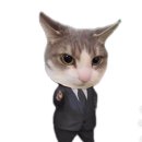 엄마 김치찌개 이미지