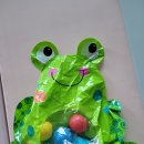 여러가지 물건 정리해요(산페드로)