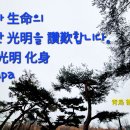 정수리마을회관 이미지