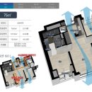 스마트티아모 이미지