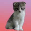 사진만들기 이미지