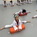 화성 슈퍼키즈 태권도장 이미지