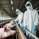 대성가축약품 이미지