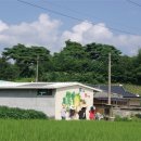 안하마을 이미지