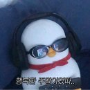 픽세이션