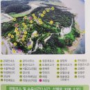 청풍하트레이크 | 제천 가볼만한 곳 청풍문화유산단지