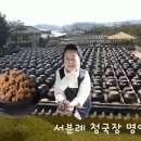 서일의원 | 명인 서분례 청국장 레시피 정리! 후기 서일농원 프로필 나이